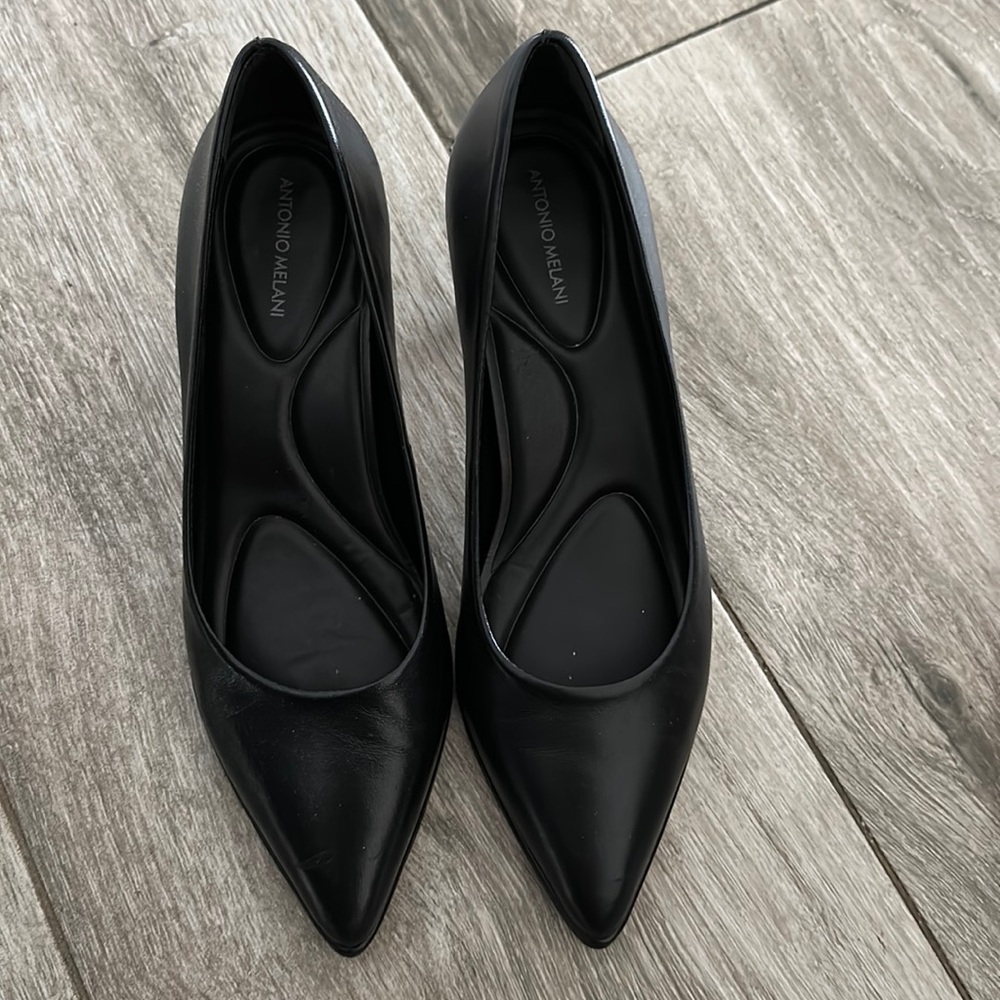 Ellen Leather Pointed Toe Pumps in black